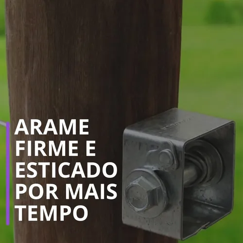 catracas-com-roseta (2)